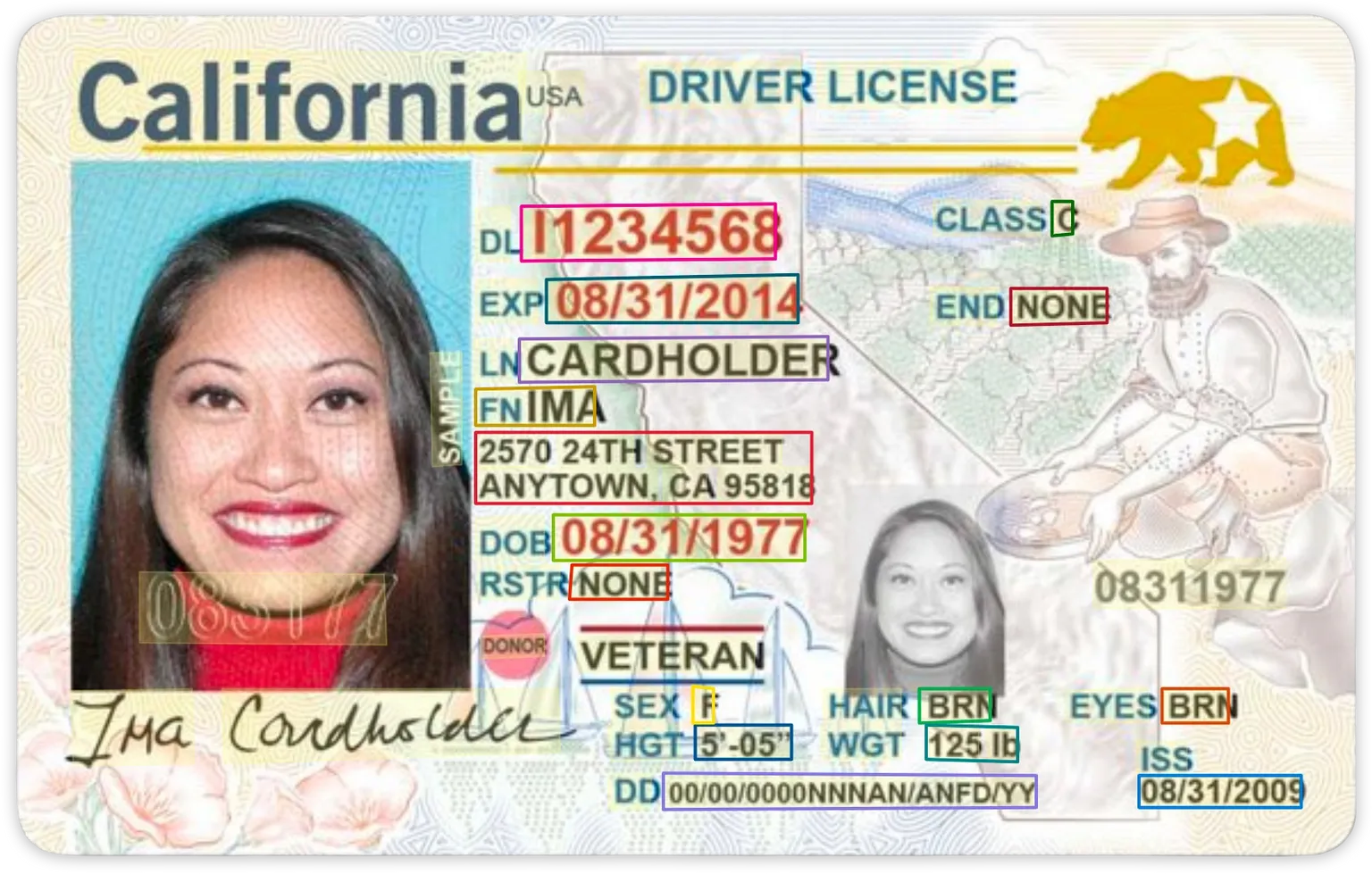 Driver's License OCR